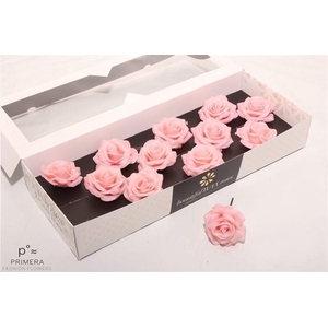 Roos Wax Zijde 9110 M Apricot (oceana)