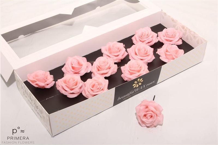 <h4>Roos Wax Zijde 9110 M Apricot (oceana)</h4>