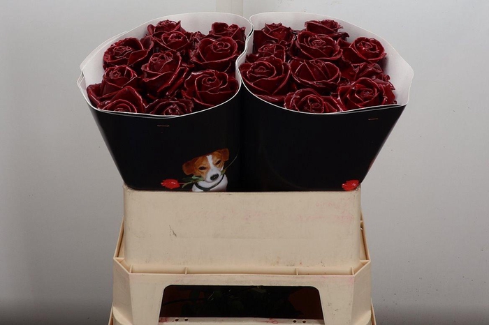 <h4>Wax-Rozen Wax Wit Zilver glitter</h4>