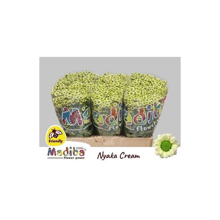 <h4>Chr S Madiba Nyaka Cream</h4>