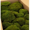 Mood Moss Gepreserveerd Bulk ca. 0,8 m2