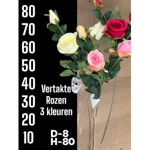 HUIS EN TUINDECO H%
