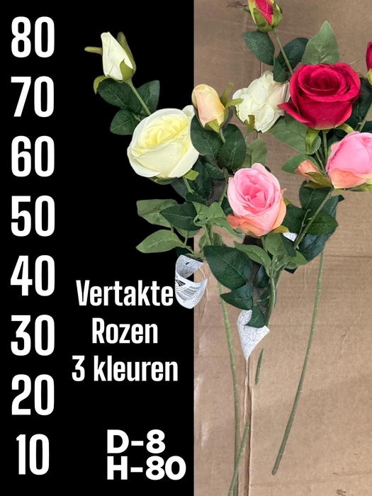 <h4>HUIS EN TUINDECO H%</h4>