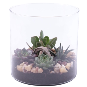 Yearround Arr. Succulent Glass Vase Cylinder Ø19cm 4PP