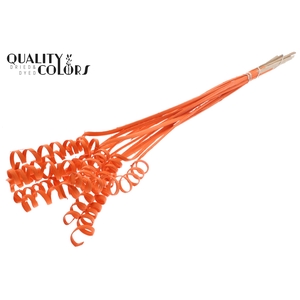 Cane Spring on stem Covered Orange