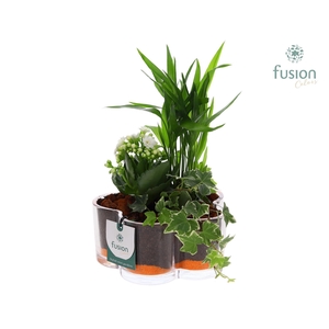 Glazen Bloemschaalmet arrangement