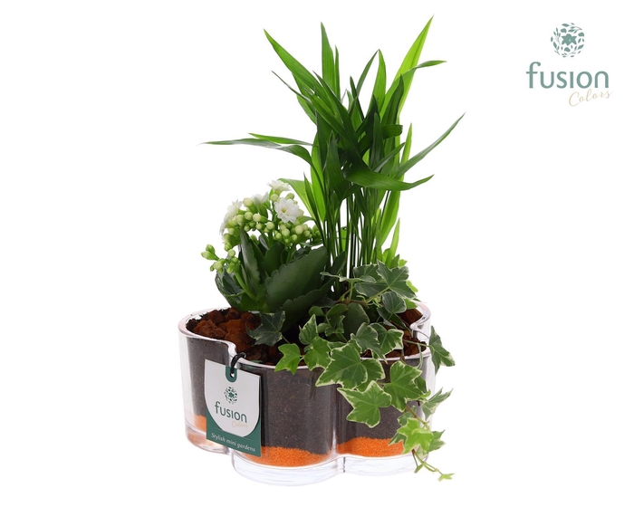 <h4>Glazen Bloemschaalmet arrangement</h4>