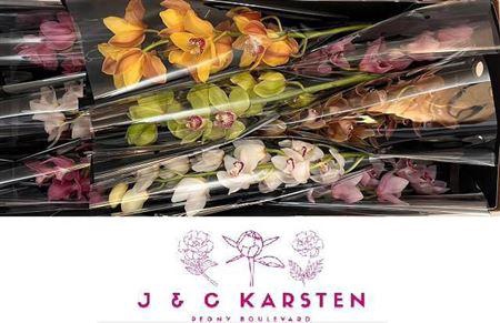 <h4>Cymb Mixed Stems</h4>