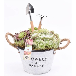 Zink teil Flowers & Garden 22cm