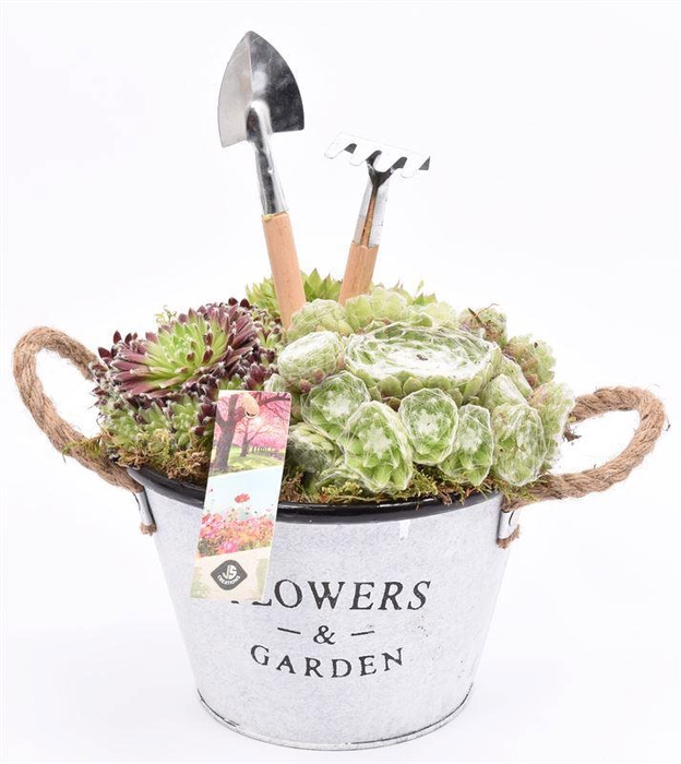 <h4>Zink teil Flowers & Garden 22cm</h4>