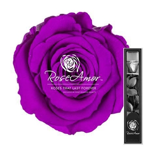 30cm Stem Pur02