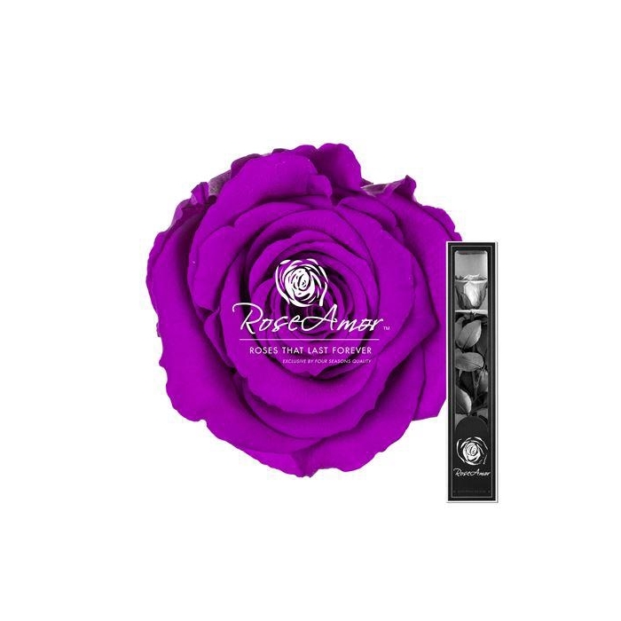 <h4>30cm Stem Pur02</h4>