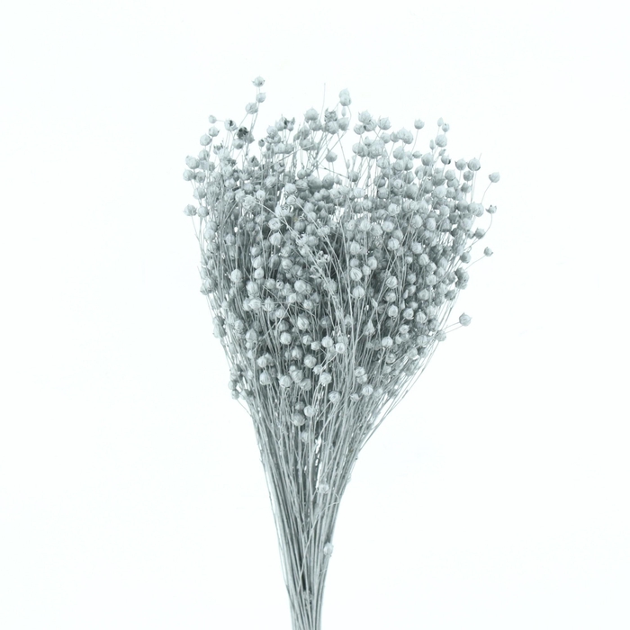 <h4>DROOGBL ONBEWERKT</h4>