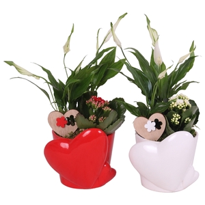 Valentine Arr. Indoor Ceramic Heart Pot Red/White Ø16cm 2PP