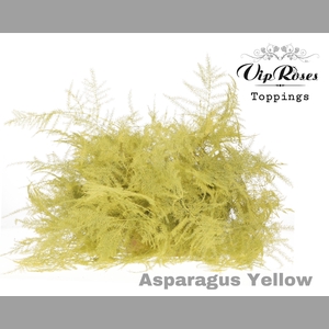 ASP OV EXTRA VEREN YELLOW