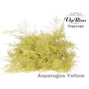 ASP OV EXTRA VEREN YELLOW