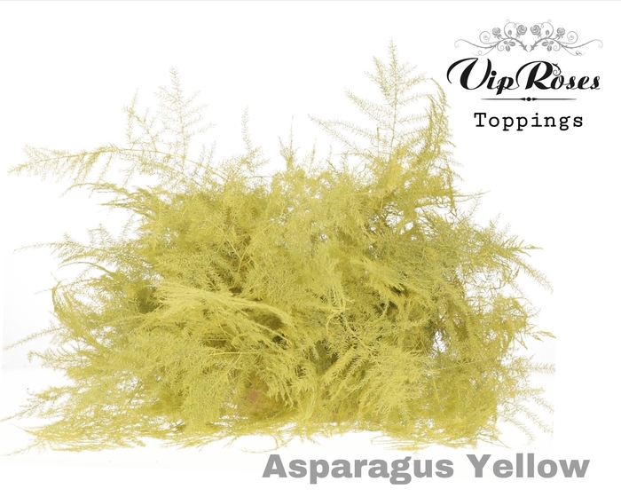 <h4>ASP OV EXTRA VEREN YELLOW</h4>