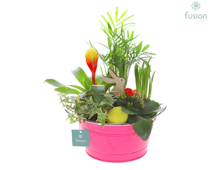 <h4>Schaal zink rond Pasen met Arrangement verschillende kleuren</h4>