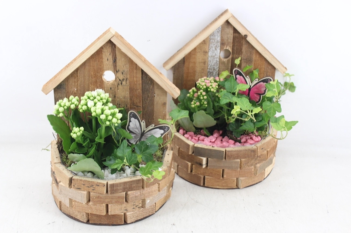 <h4>arr2 PL - Hout huisje half rond x6 - roze/wit</h4>