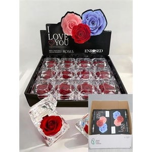 Preserved Roses In Box Red