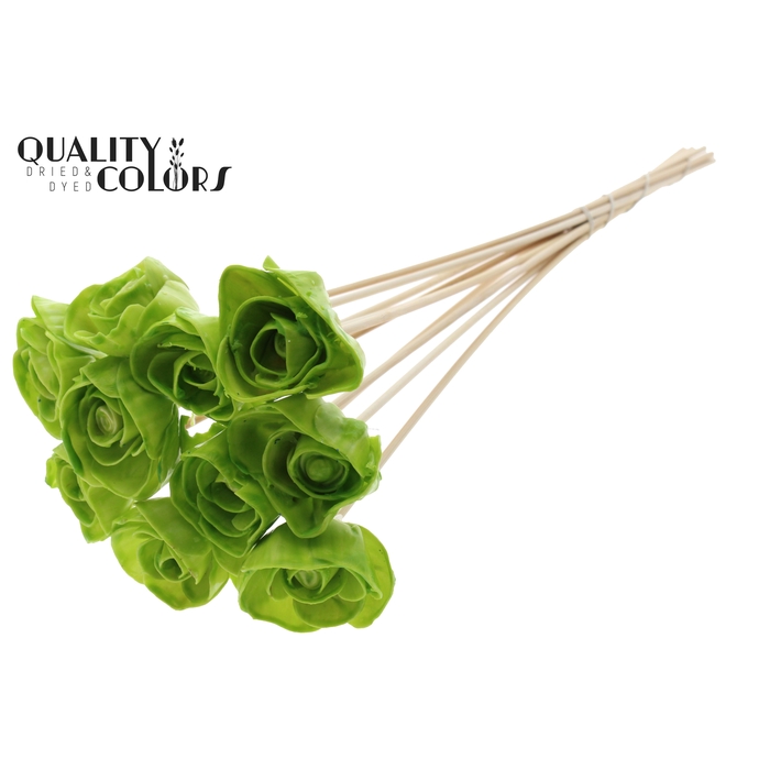 <h4>Shola Dear Holly 6cm on stem Wax Light Green</h4>