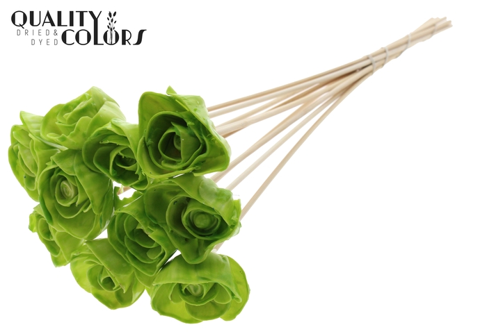 Shola Dear Holly 6cm on stem Wax Light Green