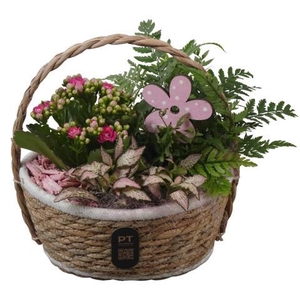 PTIB5248 Arrangement Indoor in rieten hengselmand