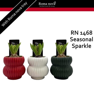 Arrangementen Hyacinthus 6%