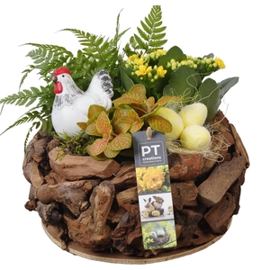 6583 XL BLOKJES ROND PASEN