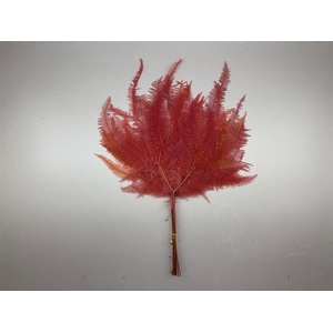 Pres Bracken Fern Pink 10pcs Bunch