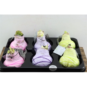 Wax Hipp Wax Art Monet