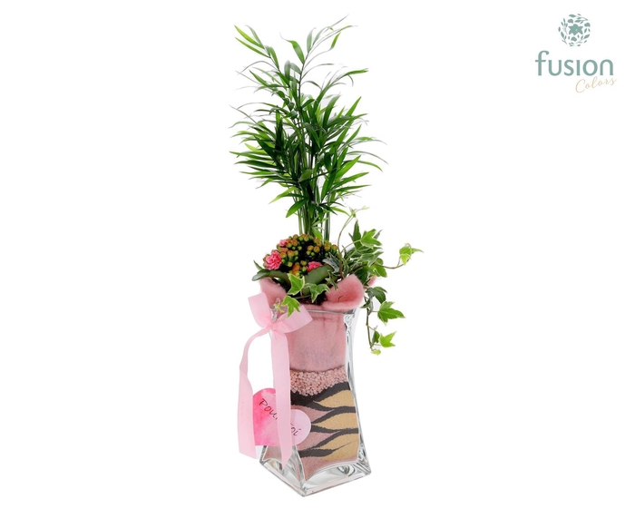 <h4>Glas Twistervaas met Zand arrangement</h4>