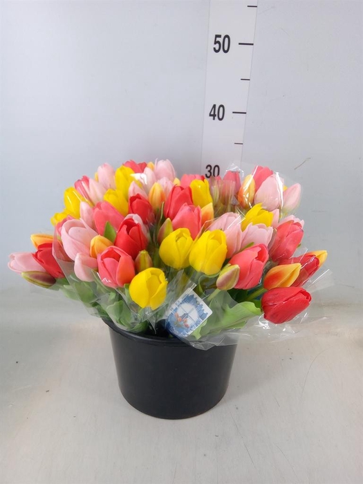 <h4>Decoratie  ..Kunstbloem H%</h4>
