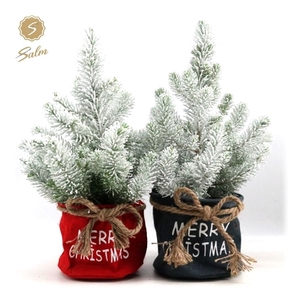 Pinus pinea 'Silver Crest' P17 in Bag X-mas Duo + Snow