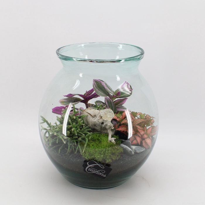 <h4>Opm GRCR-2591 Green Essentials Terrarium</h4>