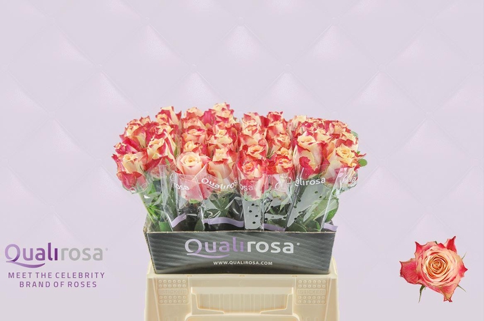 <h4>R Gr Chapeau</h4>