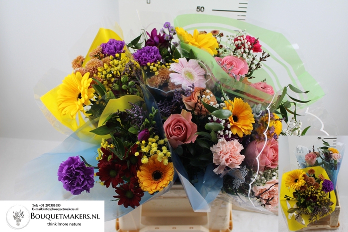 <h4>GEM BOEKET OV</h4>