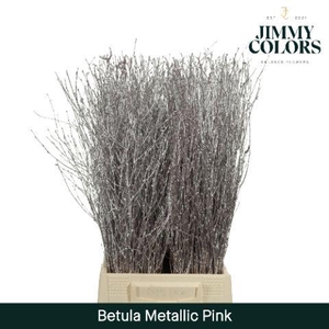 Betula L60 Mtlc. Roze