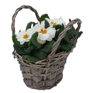 Primula tasje op kleur 335