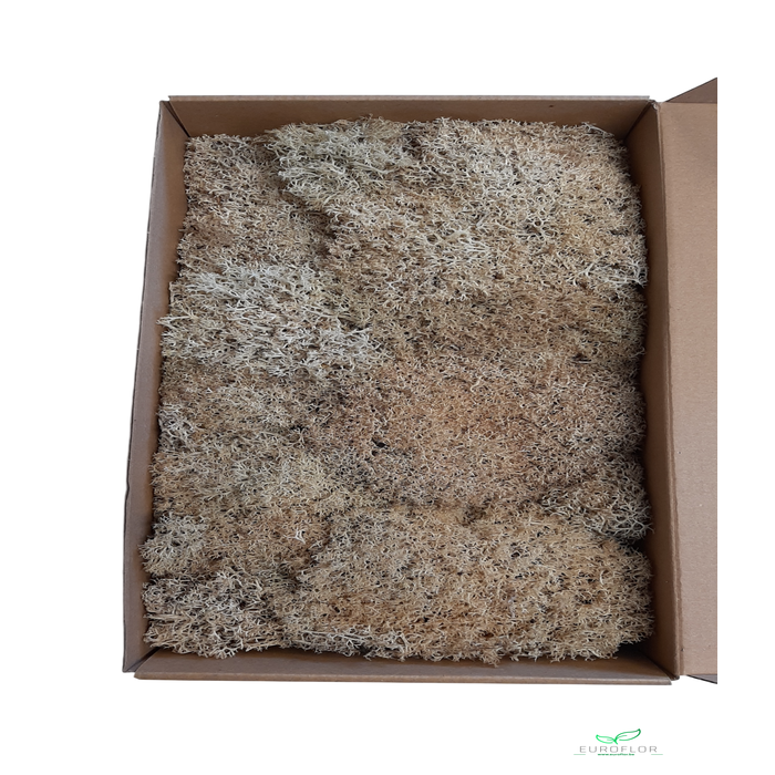 <h4>EGELMOS PRESERVED NATURAL</h4>