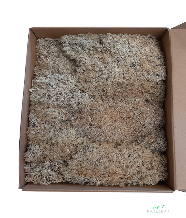 EGELMOS PRESERVED NATURAL