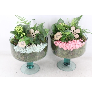 arr2 PL - Glas Sofia voet - roze/wit