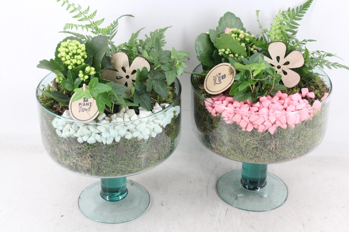 <h4>arr2 PL - Glas Sofia voet - roze/wit</h4>