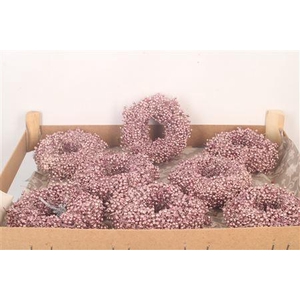 Krans Schinus Met. Pink 12cm