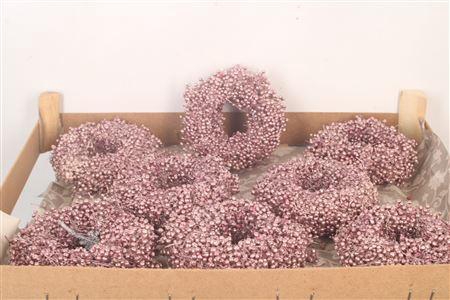 <h4>Krans Schinus Met. Pink 12cm</h4>