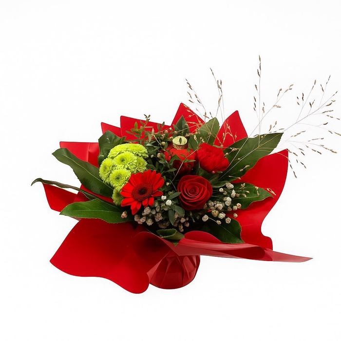 <h4>Aqua-Bulle Swing rood</h4>