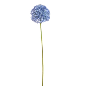 Allium Flower 89cm blue