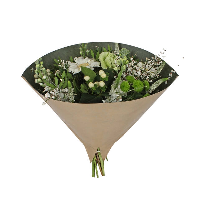 <h4>Hoes 35x35cm Angelo 70gr br kraft inside d. groen 500/doos</h4>