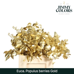 Pop bes per bos 200g Gold