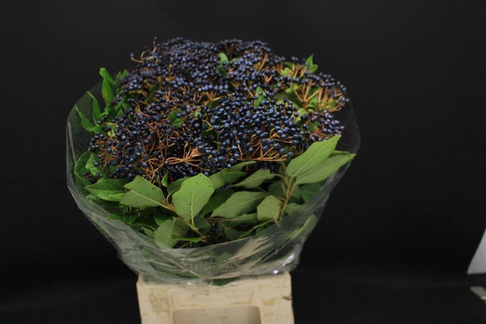 <h4>Vibur Met Bes 250 Gr</h4>